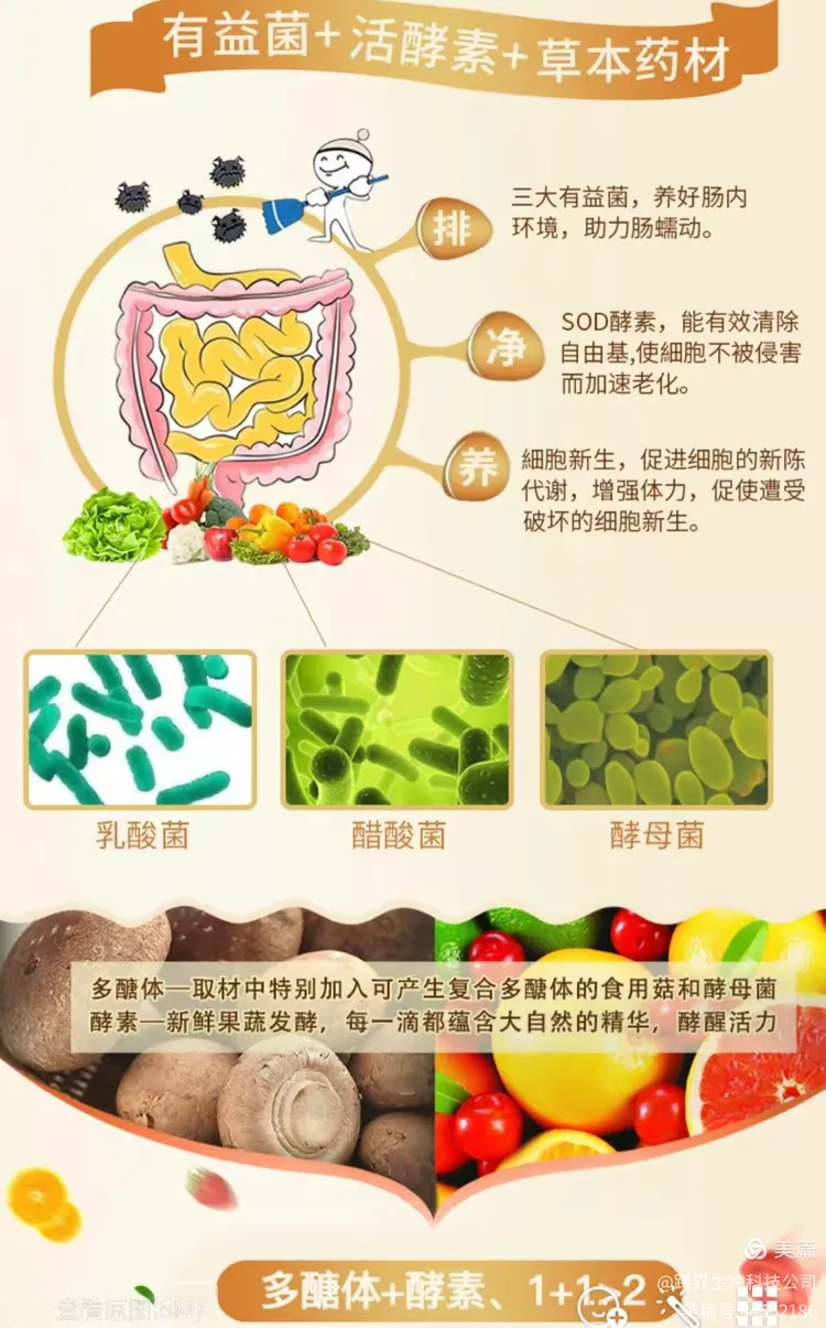 酵素免费送：